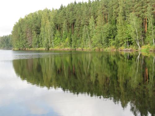 a view of a lake with trees in the background at Käbi Holiday Homes in Ainja