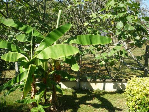 Taman di luar Le Miramont