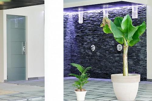 a plant in a large white pot next to a building at Thermes Oppidum in Theux