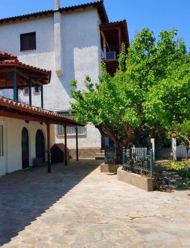 a building with a tree in front of it at Ancient Olympia Luxury Pool Villa Palace 4Bedroom in Olympia