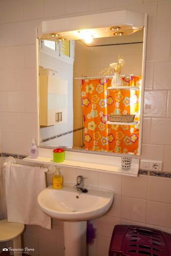 a bathroom with a sink and a mirror at Apartamento El Serrano in Benaoján