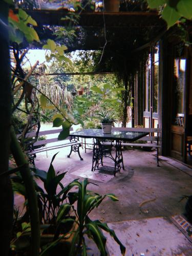 a picnic table with a potted plant on a patio at Posada Ribera del Gualeguaychu in Gualeguaychú