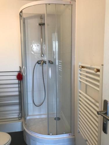 La salle de bains est pourvue d'une douche avec une porte en verre. dans l'établissement T1bis meublé tout confort, à Tours