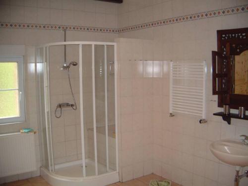 a bathroom with a shower and a sink at Zur alten Schmiede in Oederquart