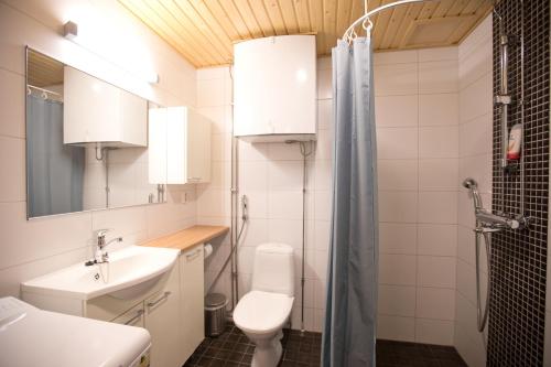 a bathroom with a toilet and a sink and a shower at Majesteetti Apartments in Rovaniemi