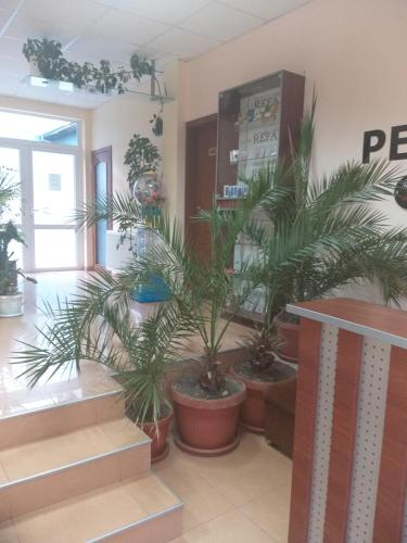 Afbeelding uit fotogalerij van Family Hotel Relax in Strelcha