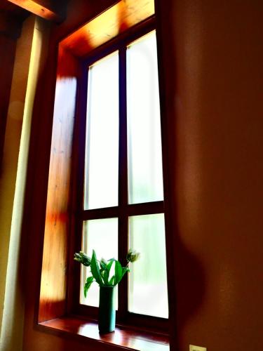a potted plant sitting on a window sill at El Serrat Turisme Rural in Planoles