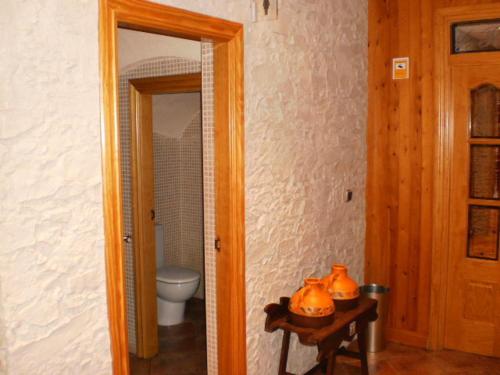 a bathroom with a toilet and a mirror at Hotel Restaurante El Colono in Gallur