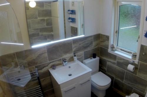 uma casa de banho com um lavatório, um WC e um espelho. em Caol Gleann Lodge em Rowardennan