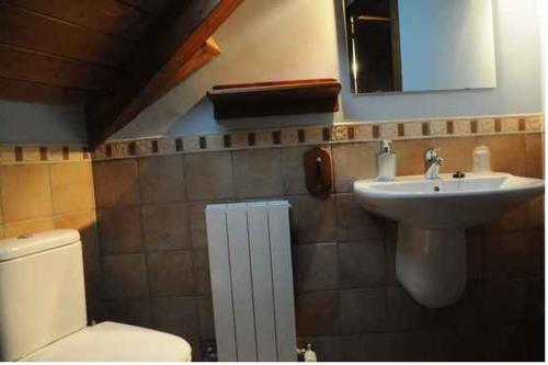 a bathroom with a sink and a toilet and a mirror at Borda Felices in Broto