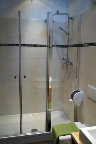 a shower with a glass door in a bathroom at Gasthaus Goglhof in Fügenberg
