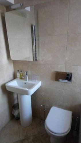 a bathroom with a white toilet and a sink at Invergarry Room Only Guest House For Adults in Windermere