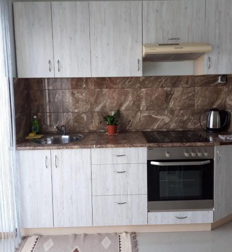 a kitchen with a sink and a stove at Квартира-студія in Luts'k