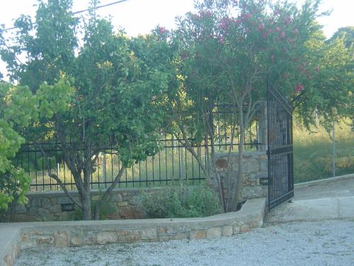Φωτογραφία από το άλμπουμ του Captain George's Apartments στο Πατητήρι