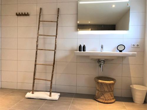 a bathroom with a ladder next to a sink at B&NB The Barnhouse in Bergambacht