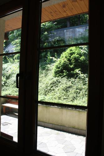 Vườn quanh Hotel Saol