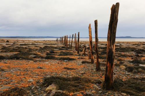 a row of wooden poles on a beach at Seaside Beach Resort in Saint Andrews