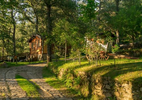 a path in front of a house with trees at Cabañas de Madera Sanabria in Vigo de Sanabria