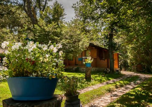 Κήπος έξω από το Cabañas de Madera Sanabria