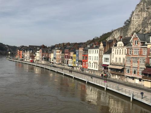a row of buildings next to a river at Le saxo cuivré in Dinant