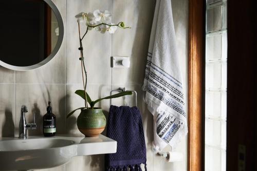 a bathroom with a plant in a vase on a sink at Mountain Sojourn - Tranquil Kurrajong Getaway in Kurrajong