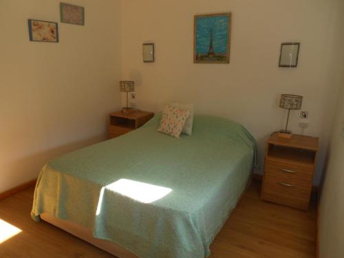 een slaapkamer met een groen bed en 2 nachtkastjes bij Las Agustinas DAT in Bariloche
