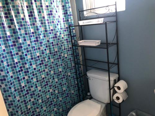 a bathroom with a toilet and a shower curtain at Brittany Manor Retreat in Kingston