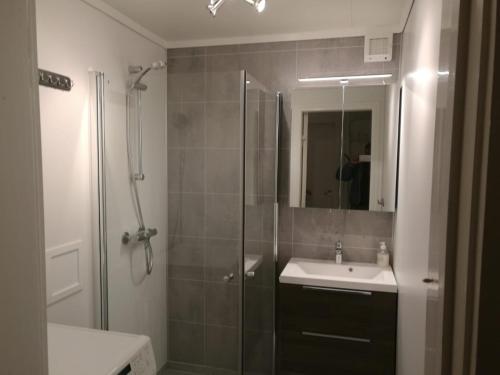 y baño con ducha, lavabo y espejo. en Apartment in Herand, Hardanger, en Herand