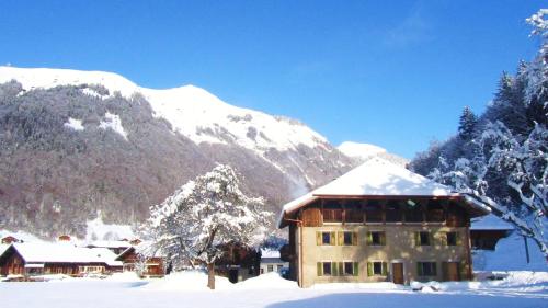 a building with snow on it in front of a mountain at La Ferme du Lac Vert in Montriond