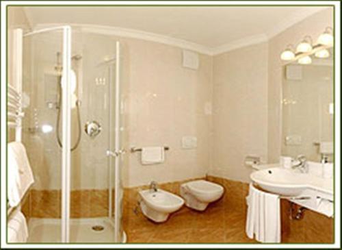 ein Bad mit einer Dusche, einem Waschbecken und einem WC in der Unterkunft Hotel Sureghes in St. Ulrich in Gröden