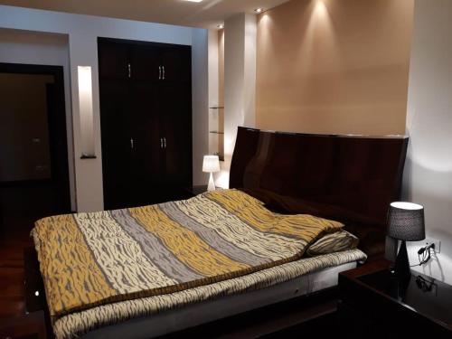 ein Schlafzimmer mit einem Bett mit einer Decke darauf in der Unterkunft BAKU CITY CENTER 3. Bedrooms 3. in Baku