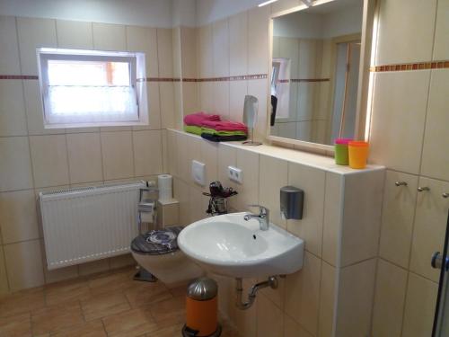 a bathroom with a sink and a mirror at Ferienwohnung Isabella in Crostau