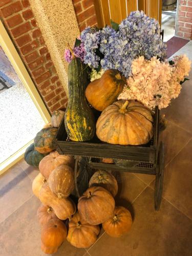 a display of pumpkins and flowers on a table at 南庄蔓森活Nan Juang Man Son Living in Nanzhuang