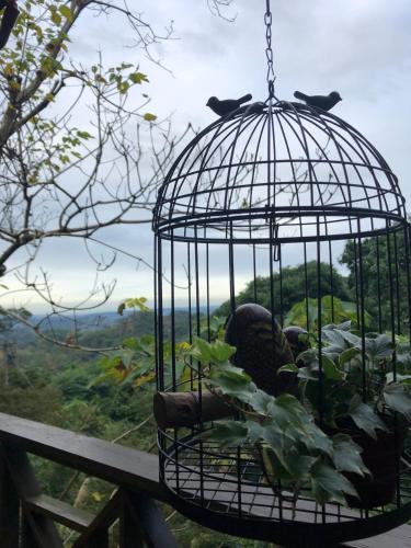 a bird cage with birds in it with a view at 南庄蔓森活Nan Juang Man Son Living in Nanzhuang