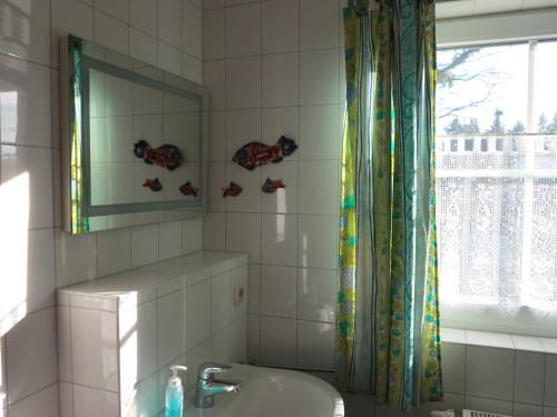 a bathroom with a sink and a mirror at Ferienhaus Kaptein Meyer in Zingst