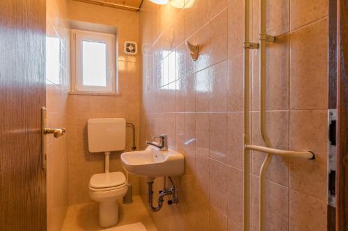 a bathroom with a toilet and a sink and a shower at Kunstelj Pension in Radovljica