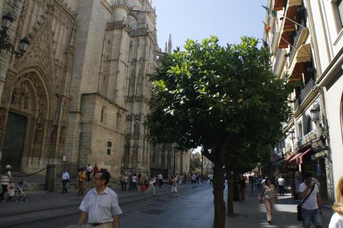 Επισκέπτες που μένουν στο Catedral Boutique