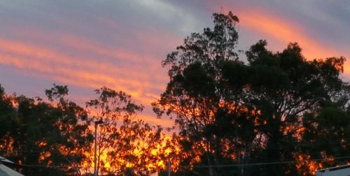 a sunset with trees in the foreground at The York Palace Accommodation in York