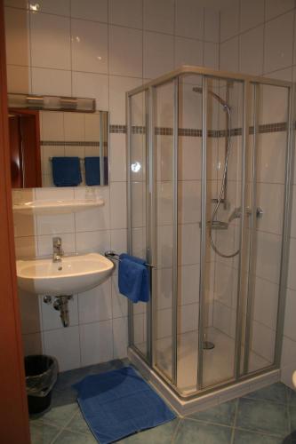 ein Bad mit einer Dusche und einem Waschbecken in der Unterkunft Gasthof Wimmer Weissbräu in Simbach am Inn