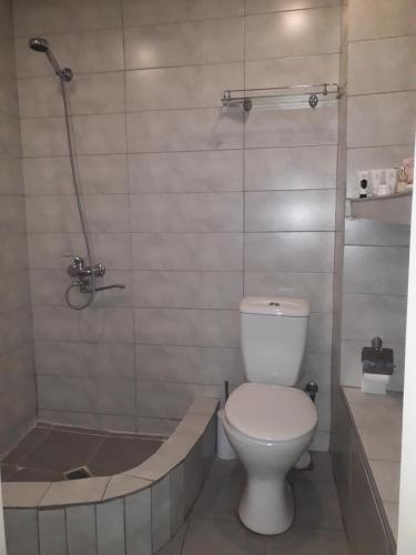 a bathroom with a toilet and a bath tub at Sololaki Dadiani in Tbilisi City