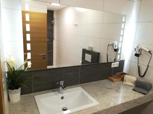 a bathroom with a sink and a mirror at Gasthof Bogenrieder in Waidhofen