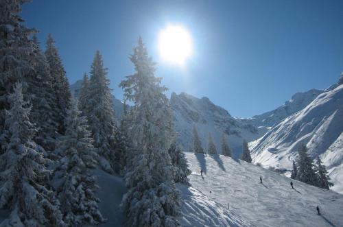 a group of snow covered trees on a mountain at Heart Hotel Sylvia in Ischgl
