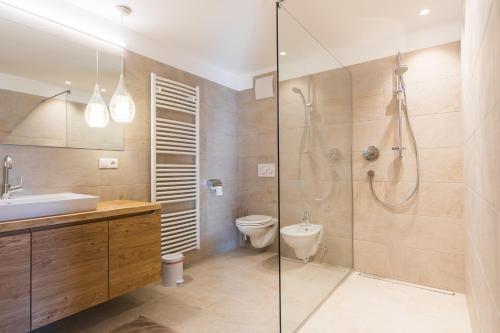 a bathroom with a shower and a toilet and a sink at Zolerhof in Feldthurns