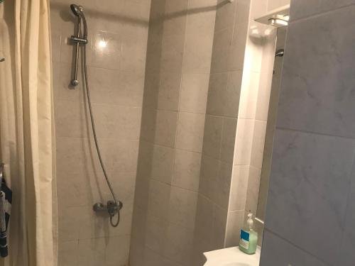 a bathroom with a shower with a toilet and a sink at Appartements Brussel in Brussels