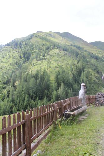 Příroda nedaleko apartmánu