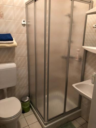 łazienka z prysznicem, toaletą i umywalką w obiekcie Haus Camelia w mieście Bad Tatzmannsdorf
