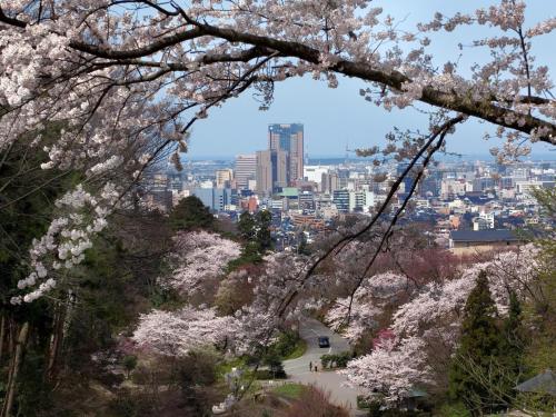 a view of the city from the cherry trees at APA Hotel Kanazawa Chuo in Kanazawa