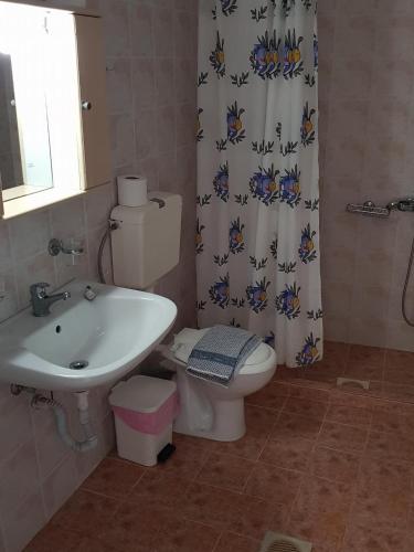 a bathroom with a sink and a toilet and a shower curtain at Mikes Apartment in Georgioupolis