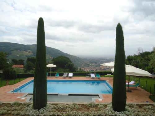 a swimming pool with two cypress trees next to it at Monte A Pescia in Pescia