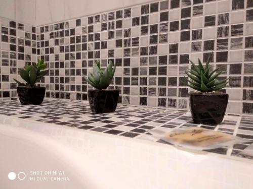 three potted plants on a tiled floor in a bathroom at La Casa di Pina in Modica